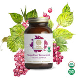 SuperPure® Resveratrol Extract