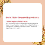 SuperPure® Fucoidan Extract