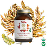 SuperPure® Fucoidan Extract
