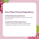 SuperPure® Resveratrol Extract