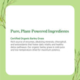 Organic Barley Grass Juice Powder